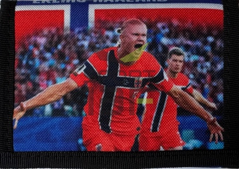 portfel rozkładany haaland norwegia